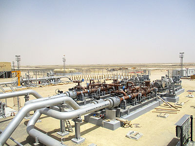Multiphase Pumping Systems