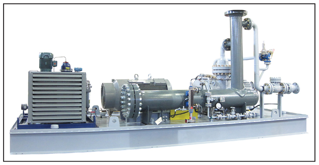 Multiphase Pump Skid with Liquid Management System